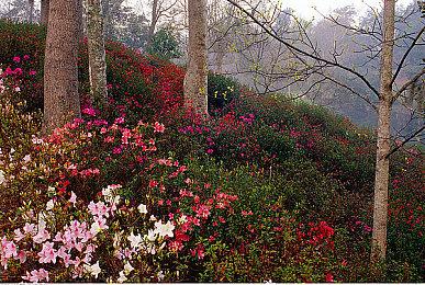 北美玩家买《漫威银河护卫队》送一个月迪士尼+会员
